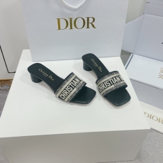 Christian Dior Slippers